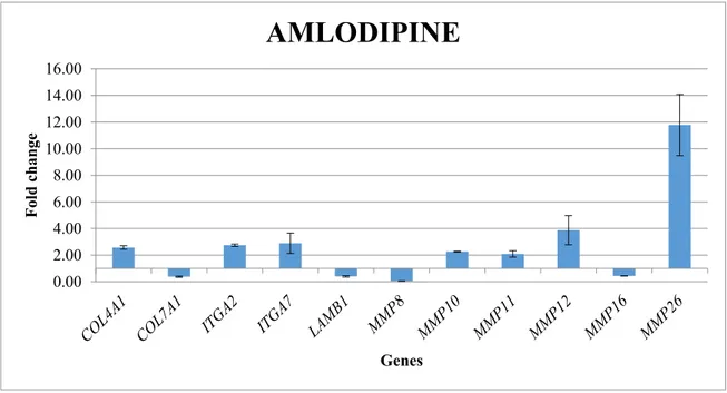Figure 1. Gene expression profile of fibroblast treated with Amlodipine 1000 ng/mL. 