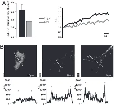 Fig. 4. Quantitation of MDSCs adipocyte differentiation in different condi- condi-tions