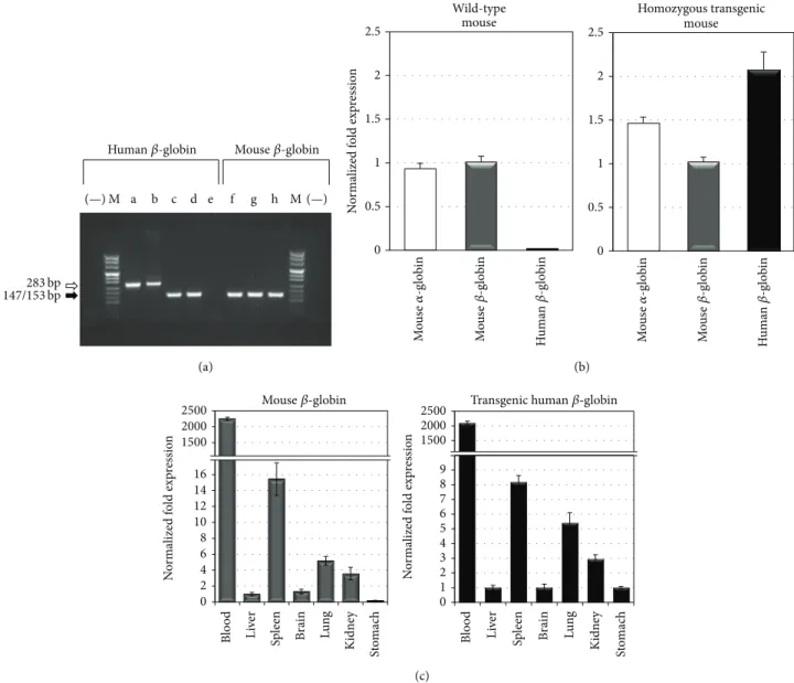 Figure 6: Expression of human 