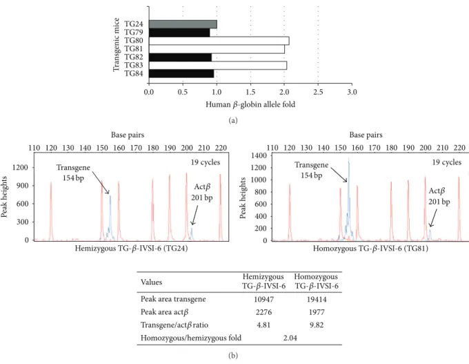 Figure 4: Discrimination between hemizygous and homozygous genotypes of transgenic mice by quantitative real-time PCR (a) or quantitative multiplex PCR of short fluorescent fragments (QMPSF) (b)