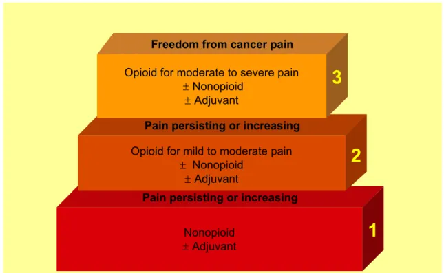 Figura 1. WHO Ladder for chronic cancer pain management (2006)  25