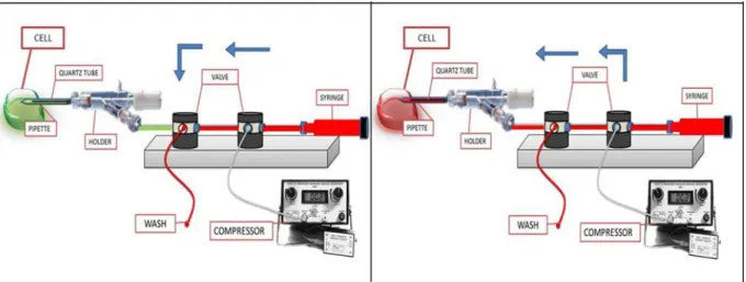 Fig.  2.7.  Intracellular  perfusion  system.  Valve  configuration  schemes:  to  wash  the  perfusion  lines  with  test  solution (in red; left) and to substitute the control solution (in green) filling the patch pipette with the test solution  (right)