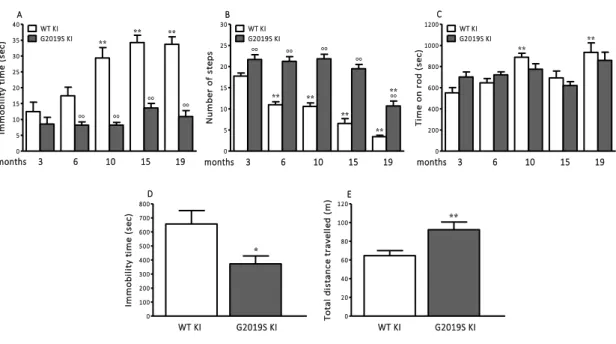 Fig. 6. Motor phenotype in mice during aging. Mice were subjected to a set of tests, namely the bar (A), drag (B) and 