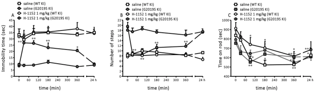 Fig. 11. Time-course of the motor effects of the LRRK2 kinase inhibitor H-1152 in 12-month-old G2019S KI mice and 
