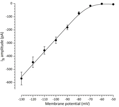 Figura  16:Relazione  corrente  voltaggio:  l’ampiezza  media  (n=20)  della  corrente  h  è  riportata  in  grafico  in  funzione  del  potenziale a cui la membrana è mantenuta