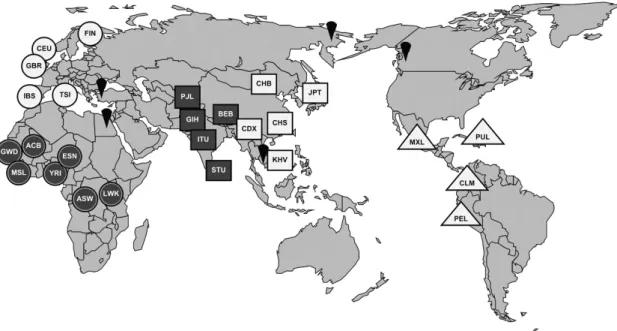Figure 1 Worldwide distribution of 26 populations, belonging to 5 different groups: African (full circle), European (empty circle), South Asian (full square), East Asian (empty square) and Admixed American (empty triangle)