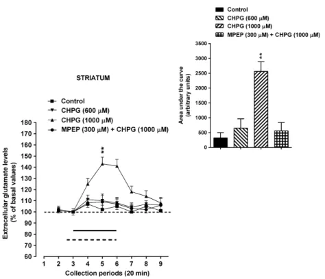 Fig. 2 Effects of intrastriatal perfusion with CHPG, alone or in combi- combi-nation with 2-methyl-6-(phenylethynyl)-pyridine (MPEP), on local  gluta-mate levels in the awake rats