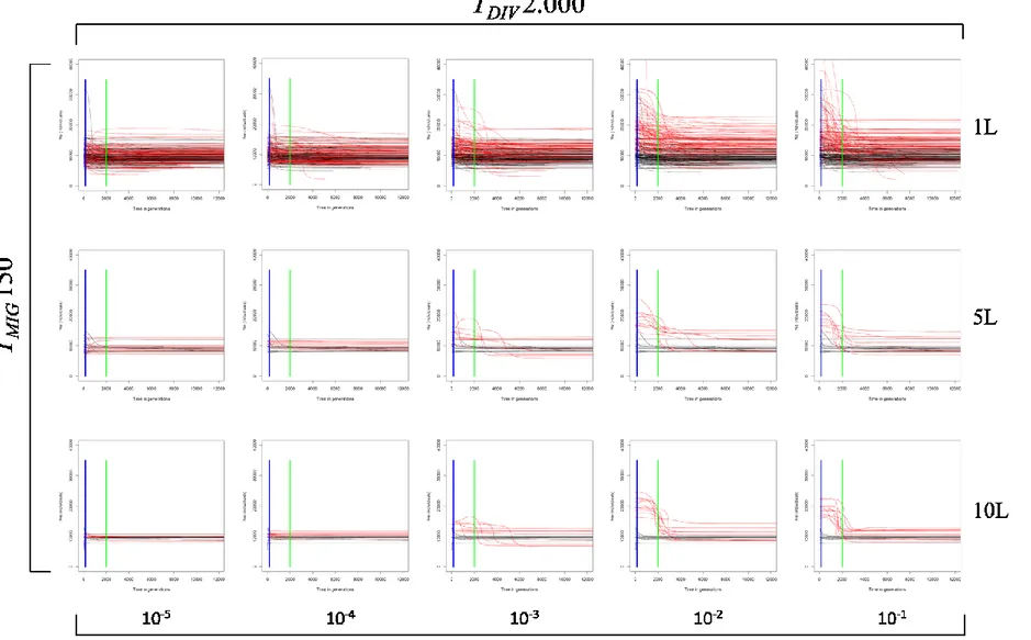 Figura  1.3S:  Skyline  plot  ricostruiti  in  assenza  (linee  in  nero)  o  in  presenza  (linee  in  rosso)  di  migrazione  a  differenti  intensità,  utilizzando  1,  5  e  10  loci