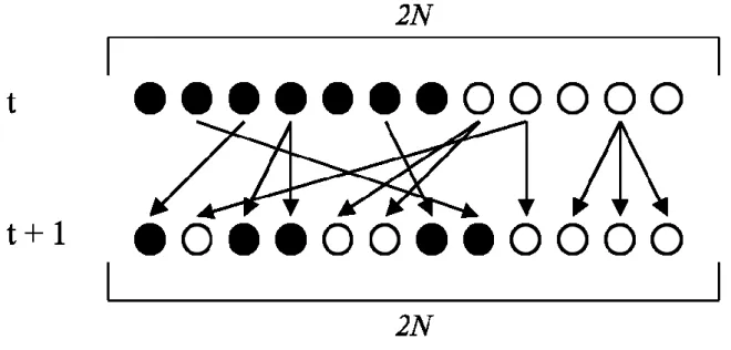 Figura  3: Evoluzione di una popolazione di Wright-Fisher. Le  frecce indicano la transizione dalla generazione t  alla  generazione t + 1, pescando con rimpiazzo 2N individui dalla generazione t