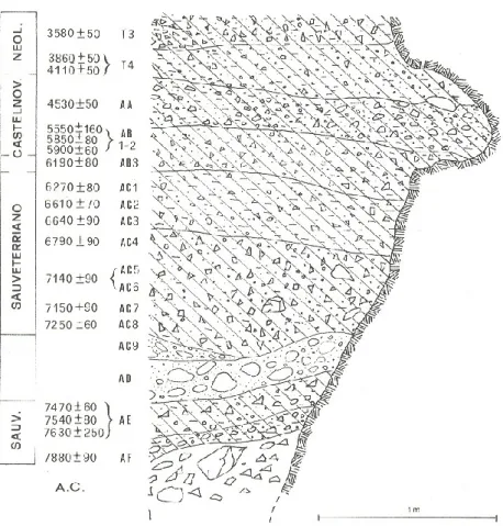 Fig. 11 – Sequenza  stratigrafica e datazioni  radiometriche dei livelli  mesolitici e neolitici del  riparo di Romagnano III  (da Alessio et al