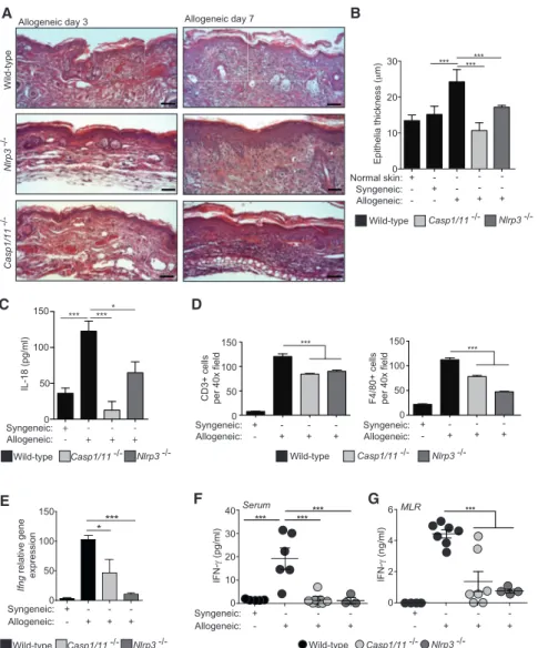 Figure 6. NLRP3 Inflammasome Deficiency Reduces Allogeneic Immune Response