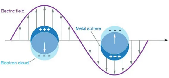 Figure 7.. Schematic illustration of the Localized Surface Plasmon Resonance (LSPR) of a  metal sphere showing the displacement of the electron charge cloud relative to the nuclei