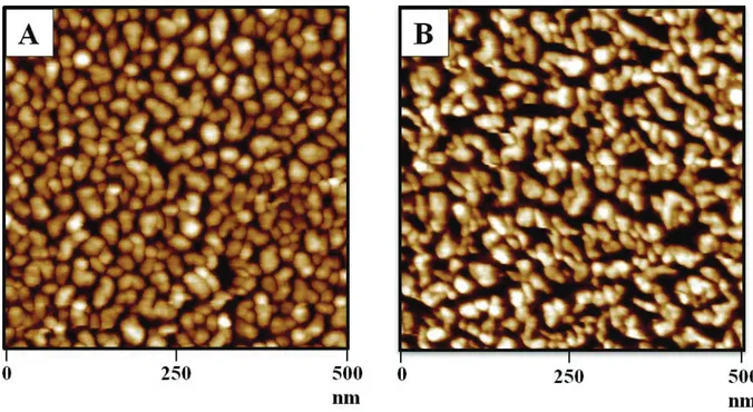 Figure 2. AFM images of not annealed Au NPs deposited on quartz surfaces, before (A) and  after (B) incubation in aqueous buffer solution STE