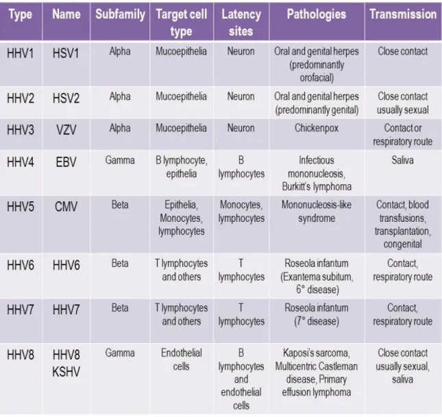 Table 1. Human herpesviruses classification and characteristics.