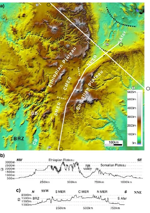 Fig. 1.2: Modello digitale dell’elevazione del Sistema di Rift dell’Etiopia (Corti, 2009)