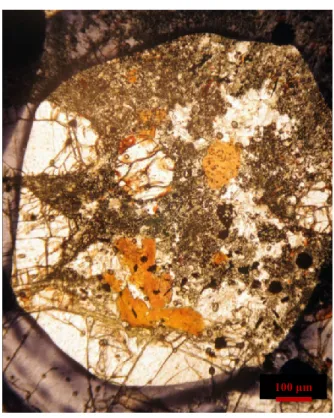 Fig. 2.1: Fotografie tratte da microscopio ottico a trasmissione che mostrano la struttura porfirica delle lave HT2 del 
