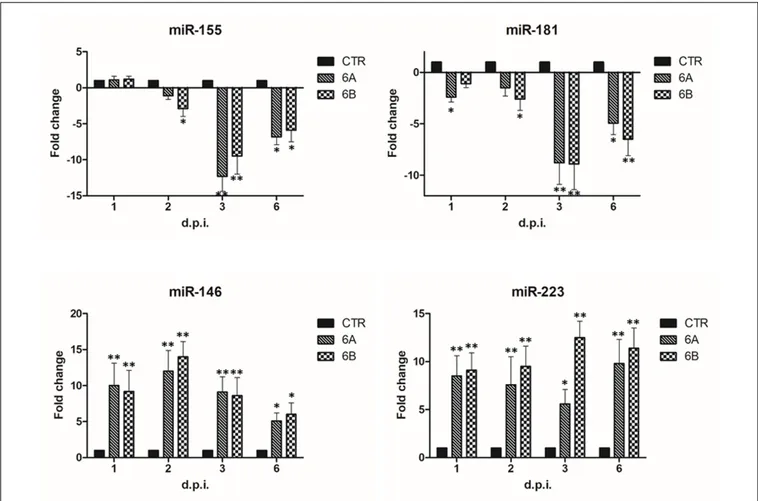 FIGURE 3 | Modulation induced by HHV-6A and 6B infection on specific miRNAs associated to NK cell functions