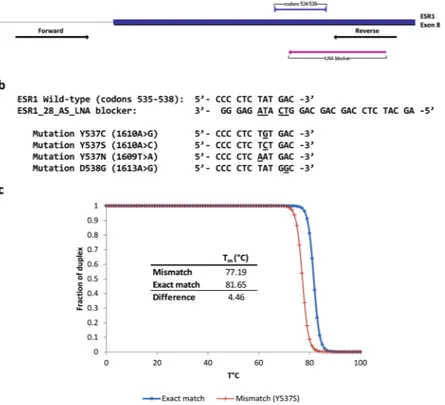 Figure 1.  ESR1 enhanced-ice-COLD PCR assay design. (a) Location of ESR1_109F (forward) and ESR1_109R 