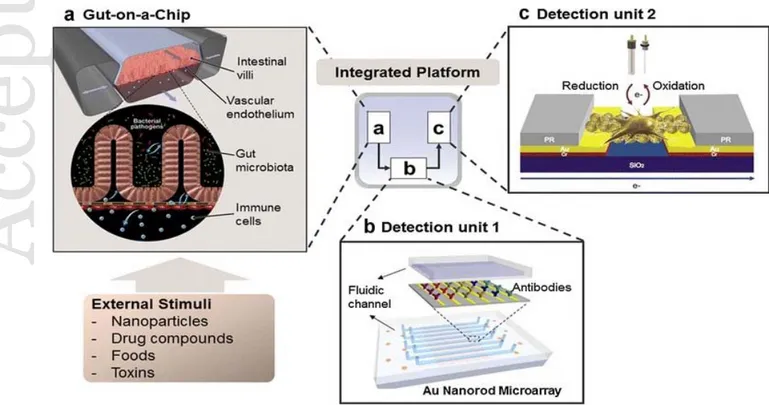 Figure 7. Concept of all human organ-on-a-chip. Advances in biomimetic micro engineering  enable different organs features could be replicated on CHIP and to be integrated into a single 