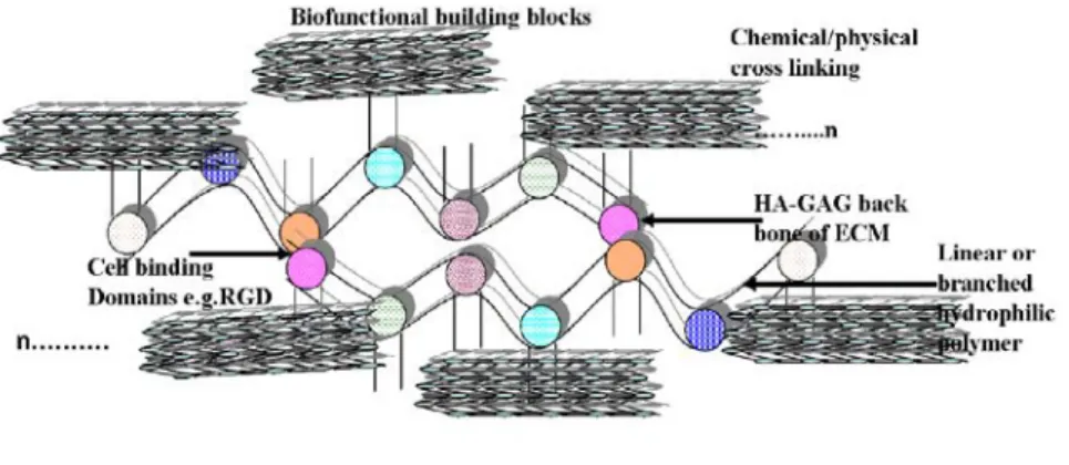 Figure 4. Schematic plan showing hyaluronan-GAG-core protein cross-linking strategy to design hydrogel based artificial skin-ECM analogue