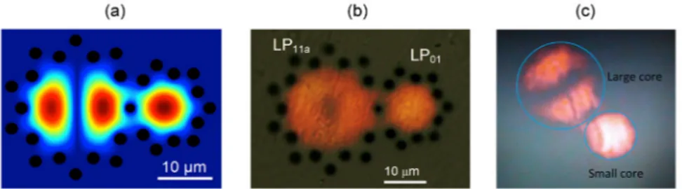 Fig. 9. (a) BPM-calculated intensity pattern for the 3 dB coupling cross section. Coupler output  measured in the near-field after launching into the small core using a supercontinuum source  for an approximately 600-700 nm bandwidth without (b) and with (