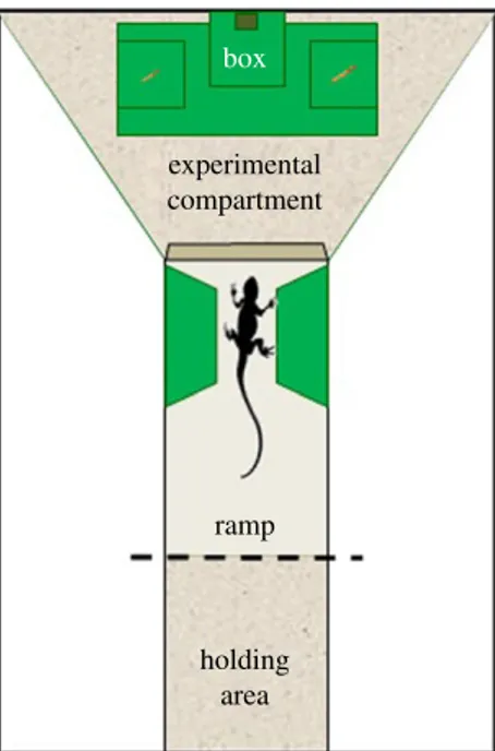 Figure 1. Schematic representation of the experimental apparatus used in both experiments (top view)