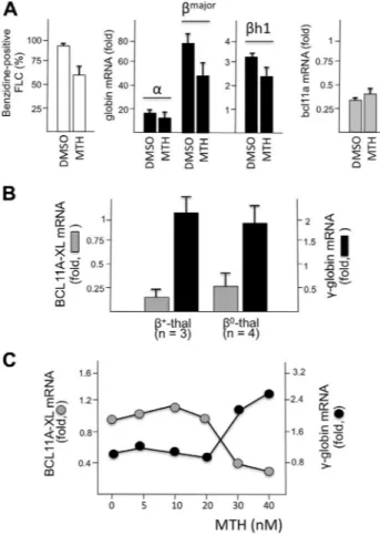 Figure 5. Effects of 30 nmol/L MTH treatment on erythroid differentia- differentia-tion markers