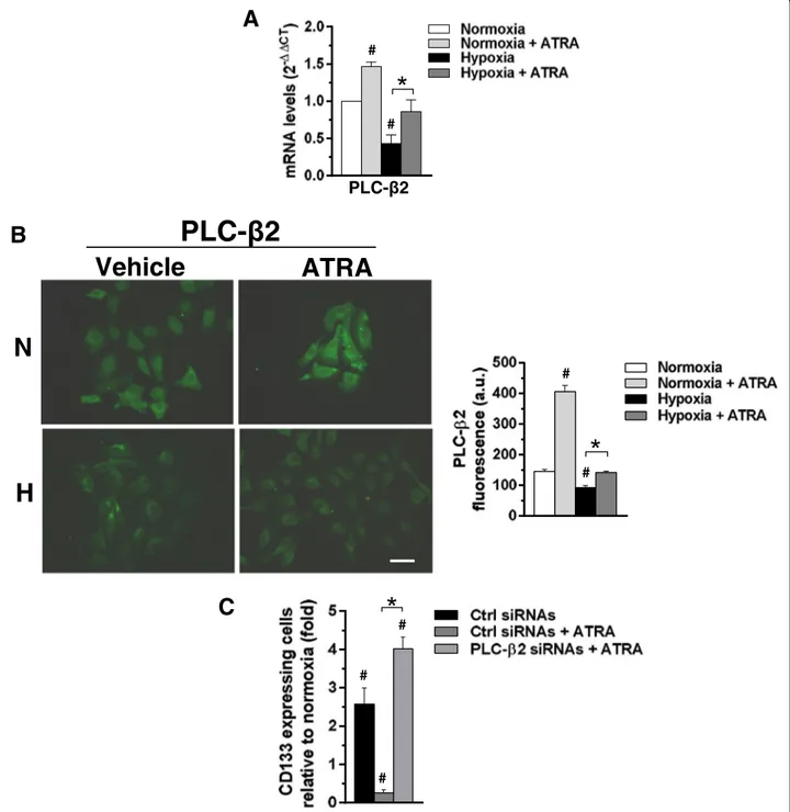 Fig. 8 Role of ATRA in modulating PLC- β2 expression in MCF10DCIS cells. a Quantitative RT-PCR analysis of PLCβ2 mRNA in MCF10DCIS cells grown for 96 h at normoxia or hypoxia in the presence or absence of 1 μM ATRA