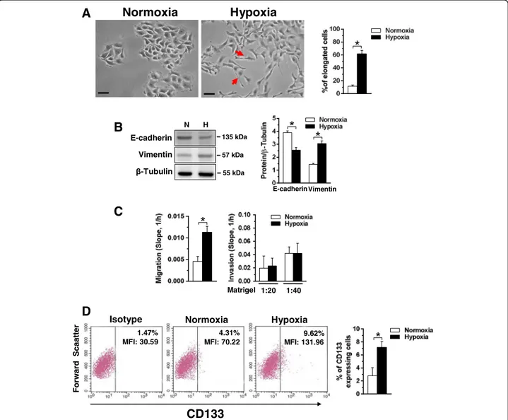 Fig. 2 Effects of hypoxia on motility and CD133 expression in MCF10DCIS cells. a Representative phase-contrast images of MCF10DCIS cells grown at normoxia or hypoxia for 96 h