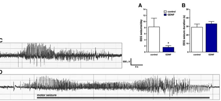 Figure 5. Long-term and persistent effects of GDNF on seizure frequency. Animals were implanted either with devices loaded with the nonmodified parental ARPE-19 cell line (N ⫽ 8) or with GDNF-secreting devices (N ⫽8),asin Figure 3 