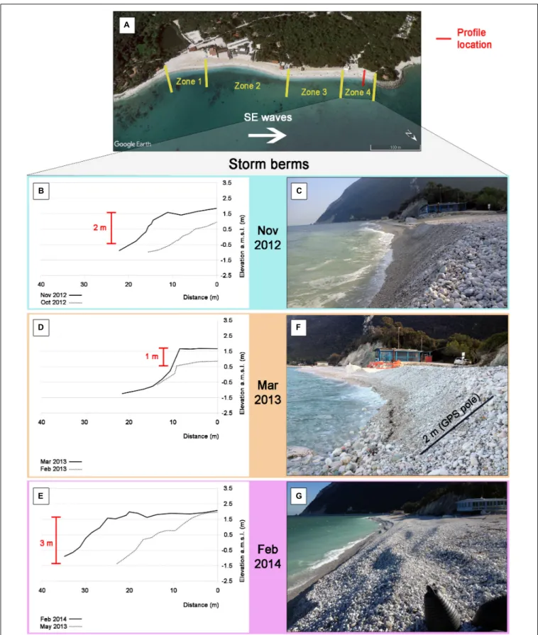 FIGURE 3 | View of the same beach portion of Portonovo (zone 4) after three different storms coming from the SE: (A) zone subdivision and focus on zone 4; (B) beach topography of November 2012 compared to the previous data available and (C) photo of the be