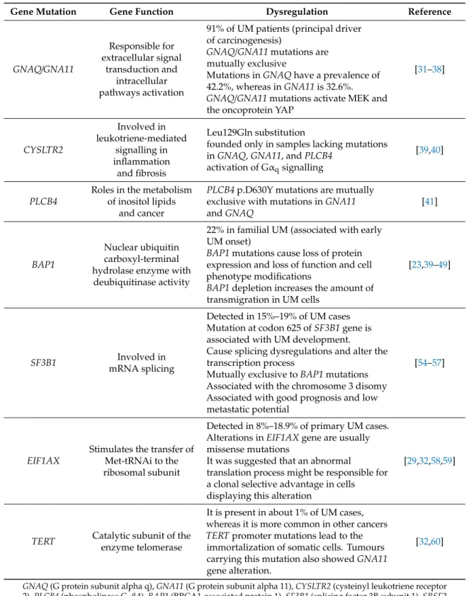 Table 1. Main gene mutations in uveal melanoma.