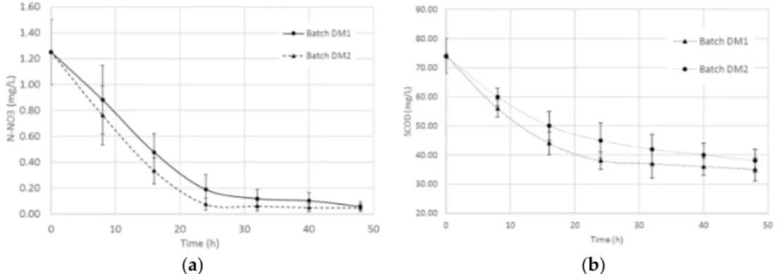 Figure 5. Effect of denitrification of mixed liquor inoculated with R. capsulatus grown in aerobic‐dark 