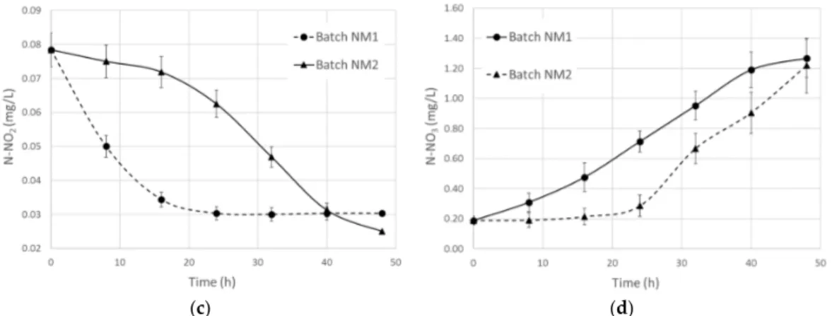 Figure  6.  Effect  of  nitrification  of  municipal  mixed  liquor  inoculated  with  R.  capsulatus  grown  in 