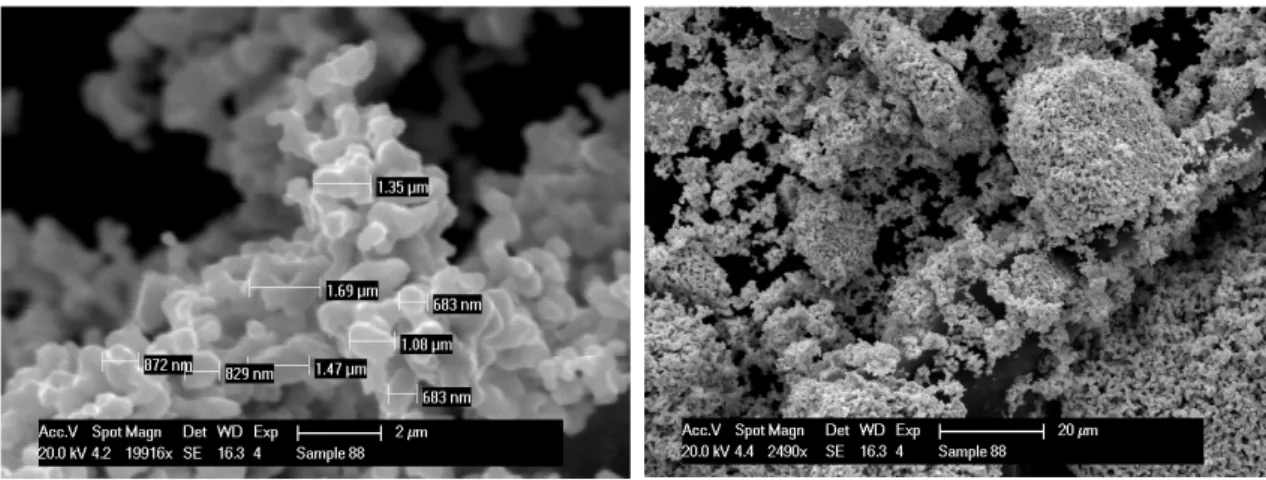 Figure 11. SEM analysis of the  100 Mo commercial powders of Isoflex (USA). 