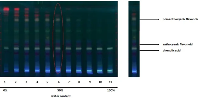 Figure 1. Typical image of high-performance thin-layer chromatography (HPTLC) separations for 
