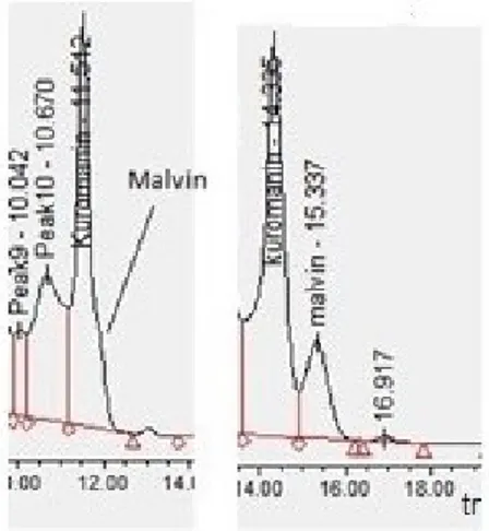 Figure 6. HPLC-DAD chromatographic separation of malvin and kuromanin (left: conventional 