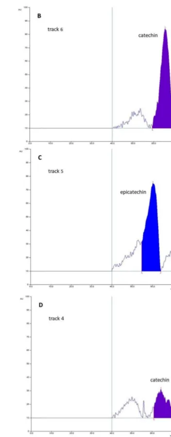 Figure 8. (A) Densitograms of four representative extracts (tracks 1–4), epicatechin standard solution 