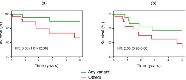 Figure 4. Event-free survival (EFS) among high-risk patients stratified by DHFR/MTHFR 677 gene 
