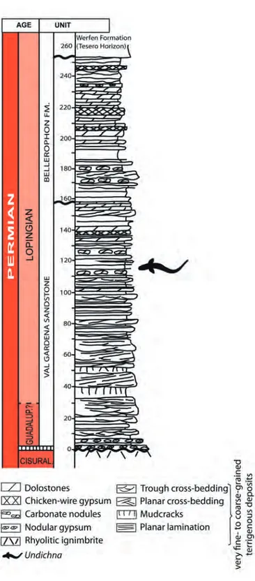 Fig.  3.   Generalized  stratigraphic  section  of  the  Werfen 