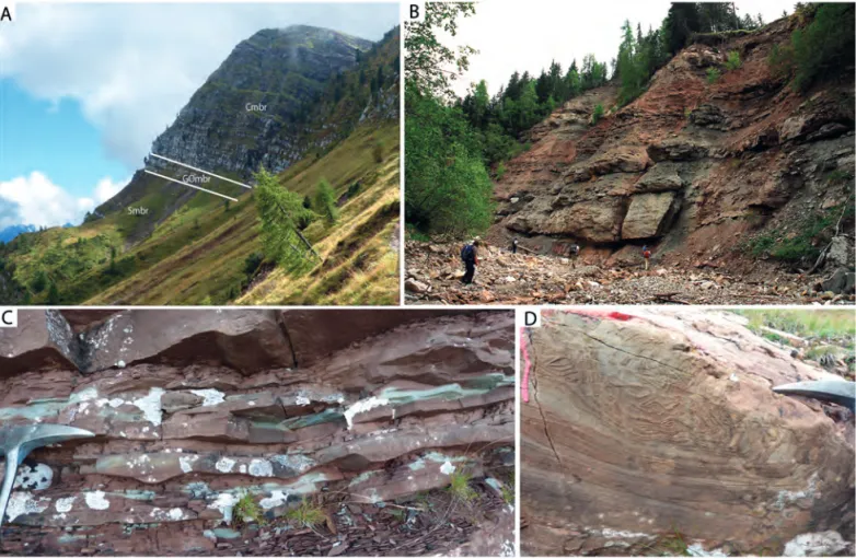 Fig.  4. Undichna -bearing outcrops of the Upper Permian and Lower Triassic in the Dolomites