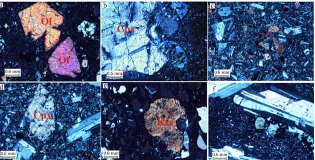 Figure 3. (a) Phenocrysts of olivine (Ol) in alkali-olivine basalts; (b) megacryst of pyroxene (Cpx) in alkali-olivine basalts; (c) glomeroporphyric texture in Cpx of alkali-basalts; (d) phenocrysts of Cpx and plagioclase in basaltic trachy-andesites; (e) 