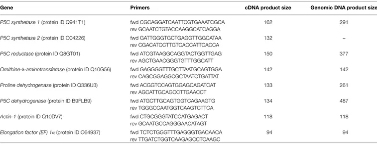TABLE 1 | Specific primers used for RT-PCR and qRT-PCR.