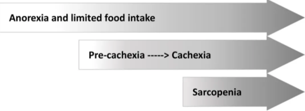Figure 1: Causes and consequences of malnutrition in cancer: anorexia, cachexia, and sarcopenia.