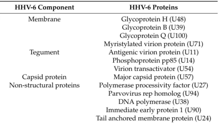 Table 2. HHV-6 proteins.
