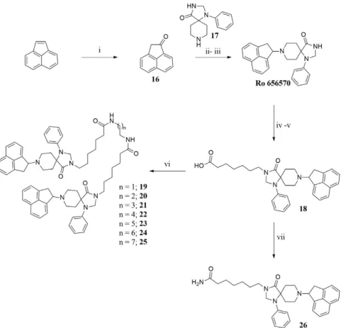 Figure 3.  Synthesis of non-peptide homodimers 19–25: (i) m-chloroperbenzoic acid, CH 2 Cl 2 , rt, 24 h; (ii) 