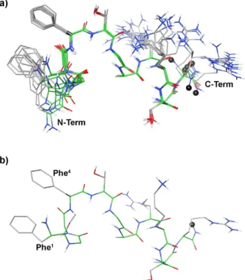 Figure 5. (a) Superposition of the ten lowest energy conformers of peptide 11. Structure models were 