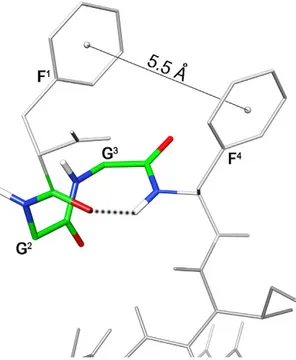 Figure 6.  Lowest energy conformer of peptide 11. Key atoms of the N-terminal turn structure and the 