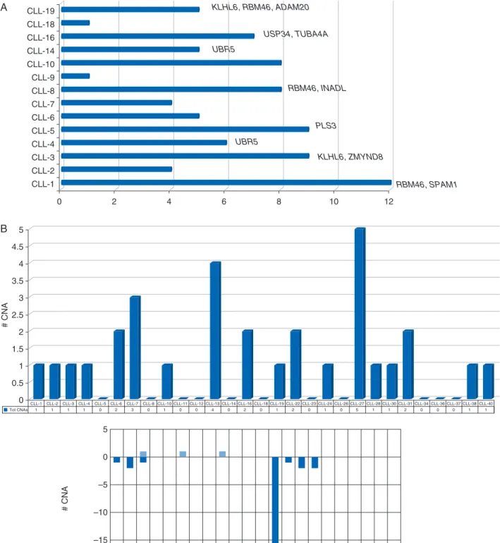 Figure 1. (A) WES in the discovery cohort. Number of non-silent somatic mutations per case