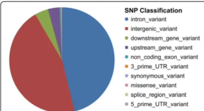 Fig. 5 Distribution of the SNPs considered in functionally different genome regions